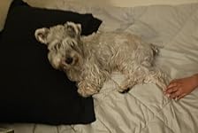 Review Image by Alicia Gonzalez Alicia Gonzalez