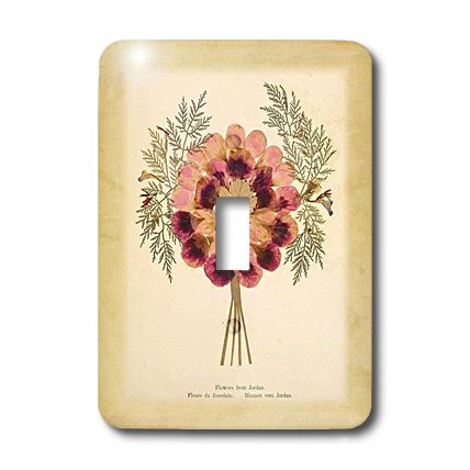 Couverture d'interrupteur florale motif Jordan au graphisme vintage authentique