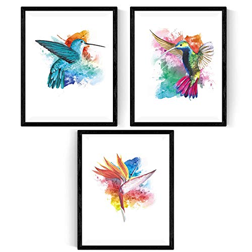 Nacnic Pack 3 láminas enmarcar pajaros Acuarela tamaño