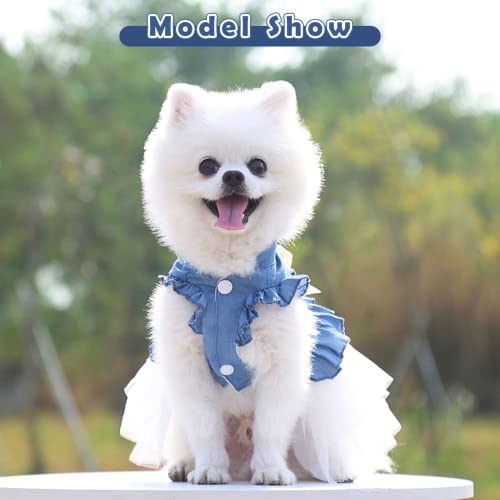 Dog Dress For Small Dogs Summer Dog Clothes For Small Dog Girls Puppy Dresses Pet Clothing #TOP1