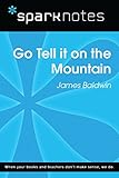  Go Tell It on the Mountain (SparkNotes Literature Guide) (SparkNotes Literature Guide Series) (English Edition)