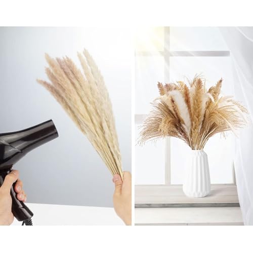 Ramo de pasto pampas seco 100 piezas para decoración miniatura 3