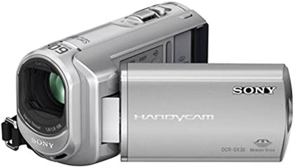 Sony DCR-SX30ES Video Kamera (Memory Stick, 60 kat optik zoom, 4