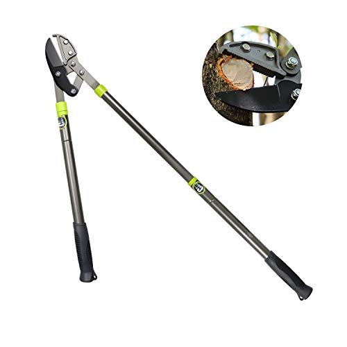 Rainbow Craft 25-1/2"~38-1/2" Heavy Duty Telescopic Anvil Lopper