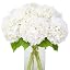 White Hydrangea Flowers