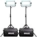 Dracast LED500 Plus Series Daylight 2 Light Kit with V-Mount and Gold Mount Battery Plates and Light Stands
