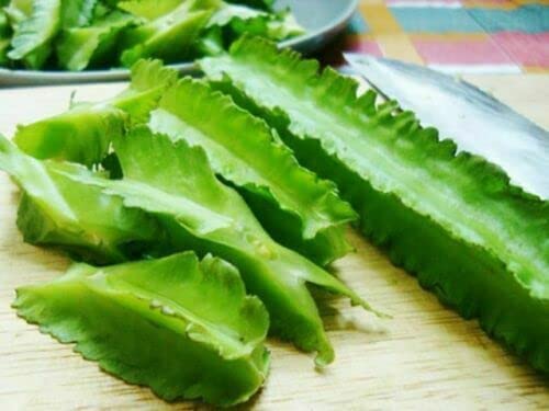 100 Winged Bean Seeds - Đậu Rồng - Aka. Dragon Bean - Four Angled - Psophocarpus Tetragonolobus - Manila Non Gmo Organic Heirloom High Germination Diy Tree Plant Seedling Garden #TOP3