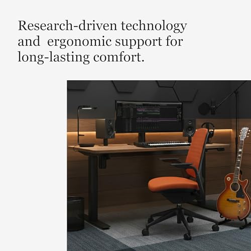 Steelcase Leap V2 chair