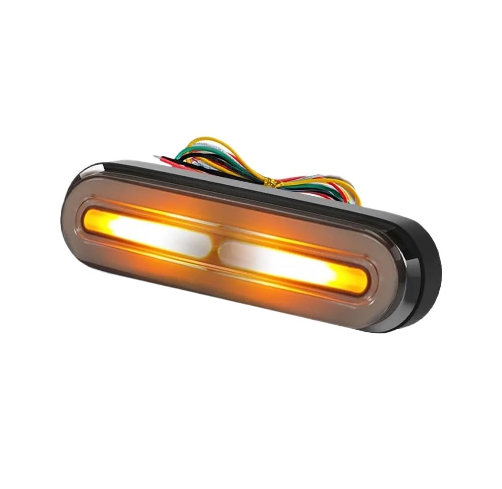 Fanale Posteriore per Moto, Luce di Stop a LED 3 in 1 per Moto, luci di Stop, indicatori di direzione dinamici, Luce di Segnalazione DRL 10-80V, luci Posteriori, Luce di Stop