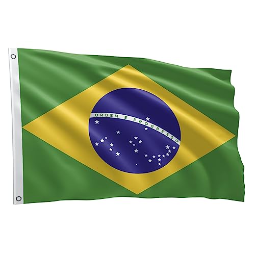 Bandeira Dos Países Grande 1,50 X 0,90 M (Brasil BDBRZ150)
