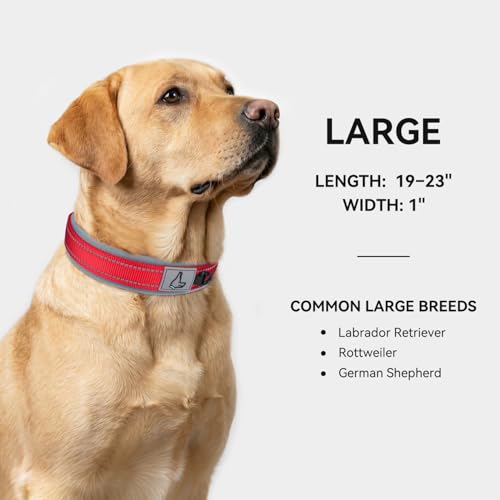 Image of Joytale Dog Collar for Large Dogs, Neoprene Padded and Adjustable, Reflective Wide Heavy Duty Pet Collars with Durable Metal Belt Buckle for Walking, Red, L