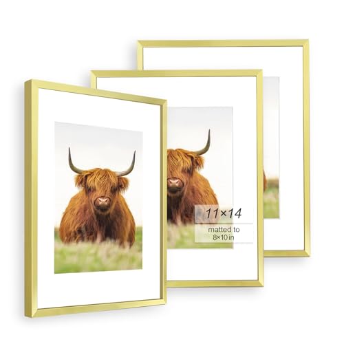 Image of Golden State Art, 11x14 Picture Frame Set of 3, Gold Thin Border Photo Frame, Display Pictures 8x10 with Mat or 11x14 Without Mat, Wall Hanging Horizontal and Vertical