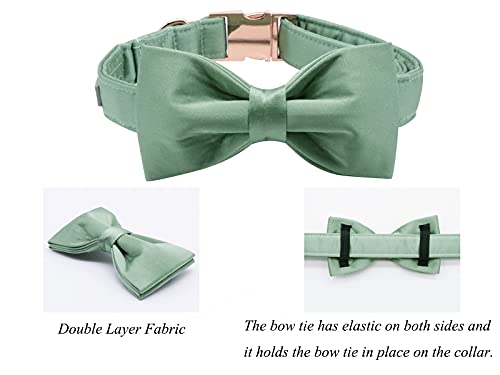 Lionet Paws Bowtie Dog Collar - Comfortable Silk Green Dog Collar with Detachable Bow Tie for Medium Dogs Neck 34-55cm - Image 3