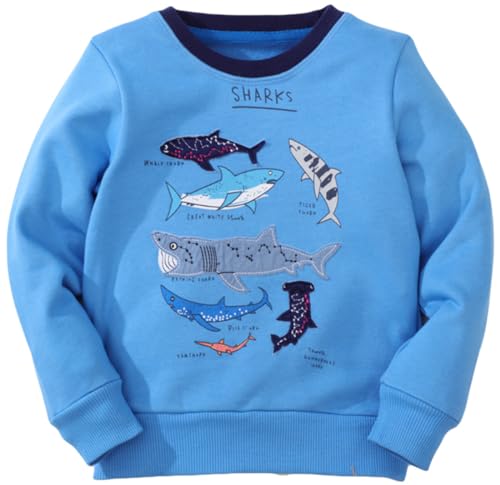 Akyzic Boys Sweatshirts Cotton Long Sleeve Crewneck Pullover Toddler Kids Winter Warm Shirt Sweater Tops 3t-8t