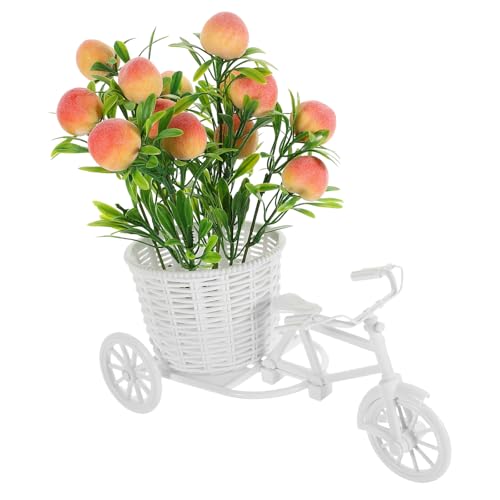 WESIEVYA ?^ ]ԃoXPbgt̑ t[I[ig p[eB[fR[V AȃVNfނŎʐ^fC