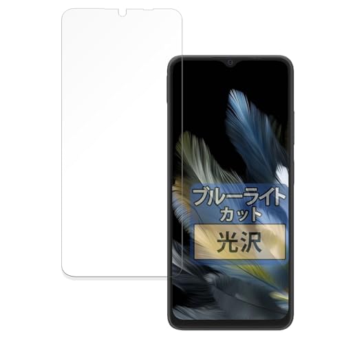 FILMEXT �t�B���� Blackview WAVE 8 / WAVE 8C �p �ȖʑΉ� �u���[���C�g�J�b�g �ی�t�B���� ������ ���{��