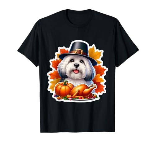���Ӎ� Coton de Tulear ���̎����� �}�} �������� ���l �ʔ��� T�V���c
