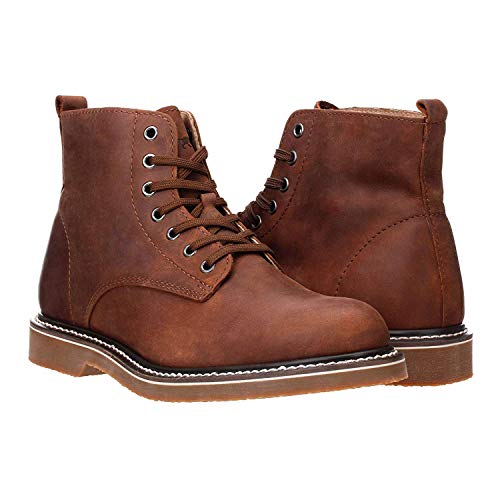 image for Golden Fox 6