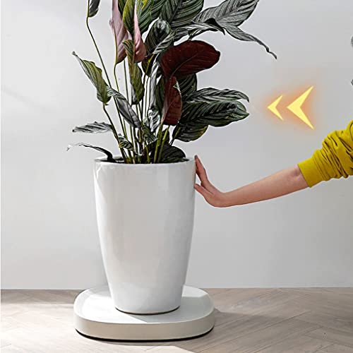 Support pour plantes à roulettes discrètes en plastique haute densité - 4
