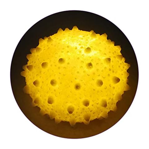 GREENIC Portable Sea Urchin Beach Themed Night Light w Timer for Kids Adults Bedroom Nightstand Lamp Nautical Lighting Battery Operated, Warm White Cover