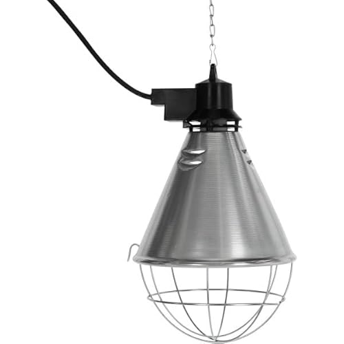 Bilake Kit lámpara infrarrojos colgante bombilla infrarroja 250W E27