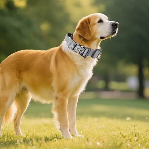 AKOFIC Taktisches Hundehalsband mit Griff, Breites Halsband Hund Gepolstert aus Nylon, Verstellbar Robuster Dog Collar mit Metallschnalle für Mittlere Große Hunde (Grau, L)