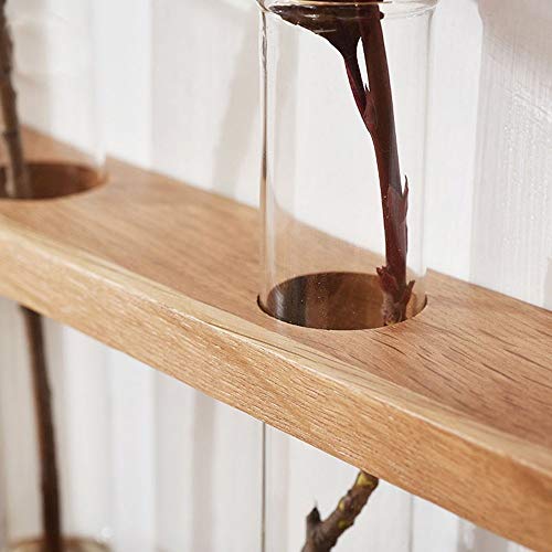 Support de mur végétal en bois pour sublimer votre salon moderne