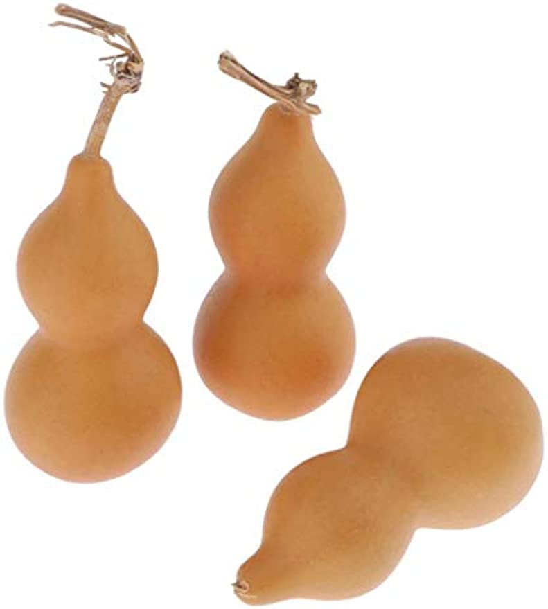 Amazon | ひょうたん 無塗装 DIYクラフト 風水用品 天然ひょうたん