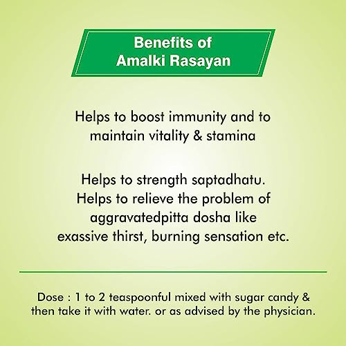 Image of Baidyanath Asli Ayurved Amlaki Rasyan Pack of 1-120 g powder (Packaging may vary)