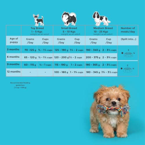 Image of Fidele+ Small & Medium Puppy Food | 900g | Nutrient Rich Growth | Immunity & Digestion Support | Real Chicken | Natural Herb Mix
