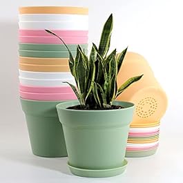 WOUSIWER 16 Pack 6 inch...