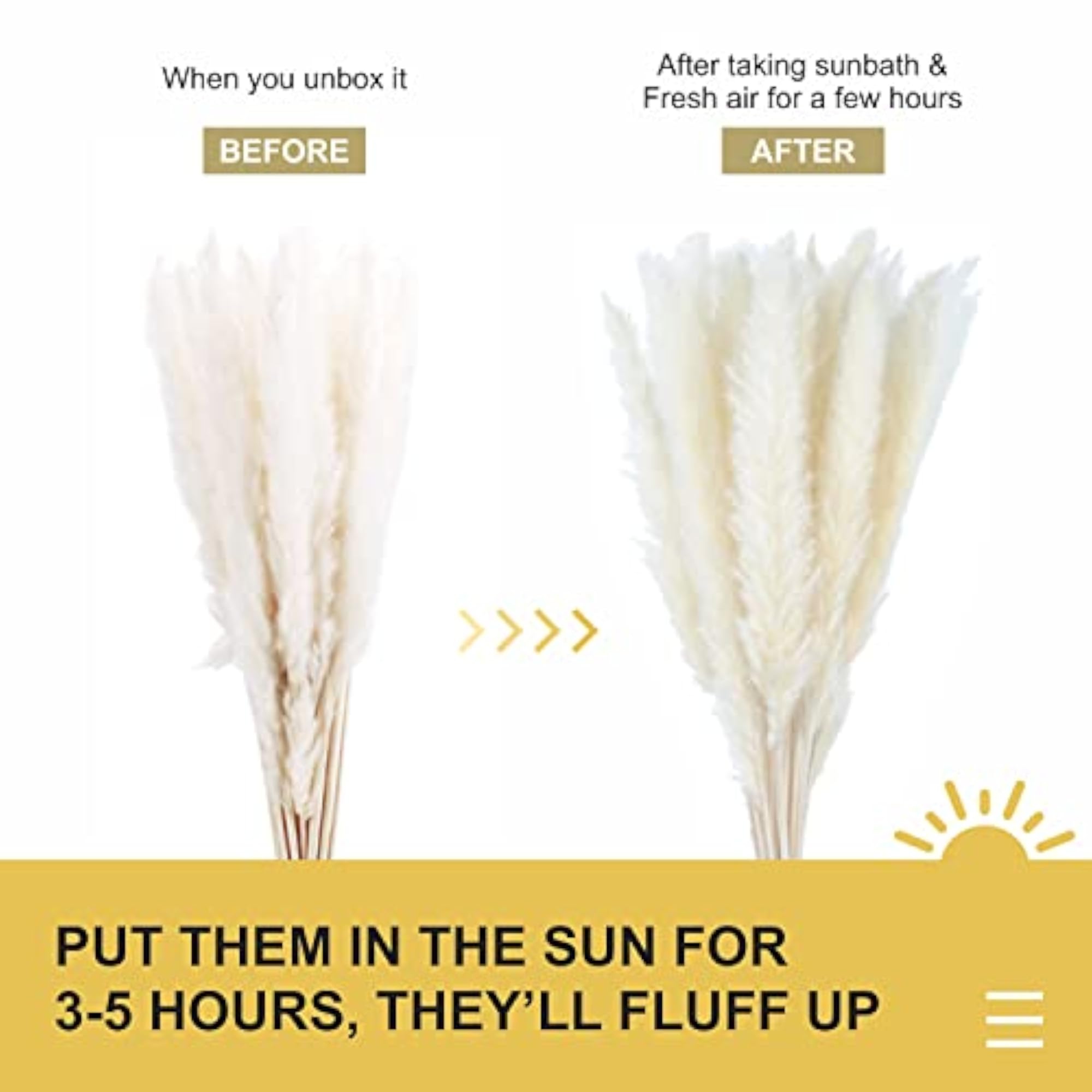 Natural Dried Pampas Grass Decor