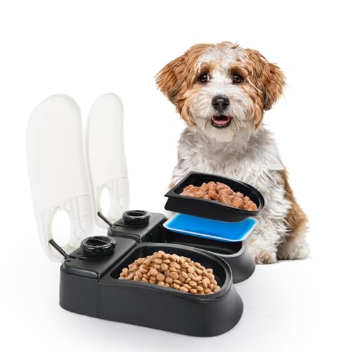 PAWISE Automatic Cat Feeders 2 Meal Automatic Dog Feeder,Dog/Cat Food Dispenser 1.5 Cups, Schedule Meal or Treat, with 48-Hour Timer