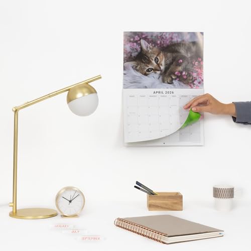 Calendar 2026 Kittens - Cute & Adorable Kitten Photos - Month to View UK Wall Planner, A3 When Open - 170gsm Silk Paper - Perfect Cat Lover Gift - Image 6