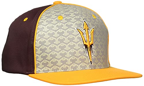Zephyr Adult Men Reflector Snapback