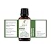 Yarrow Oil -(Achillea Millefolium)- Essential Oil 100% Pure Natural Undiluted Uncut Therapeutic Grade Oil 0.16 Fl.OZ