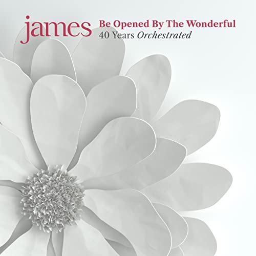 Album art for Be Opened By The Wonderful [2 LP] by James