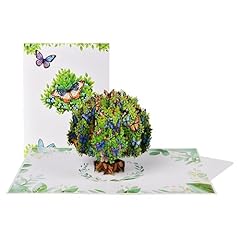 C-Green Butterfly Tree