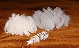 Hareline Feather Mini Gamechanger Schlappen (White)