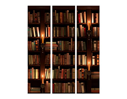 Murando Paravento Biblioteca 135x172 cm Stampa