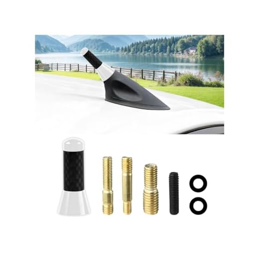 Ywdiml Car Short Antenna, Carbon Fiber Vehicle Radio Reception Antennas Kit with Screws Gaskets,AM/FM Roof Mount Automotive Exterior Audio Reception Accessories (Silver)