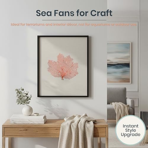 Image of Sea Fan Coral 7-10 inch - Nautical Decorations - Beach Home Decor - Decorative Coral (Pack of 2)