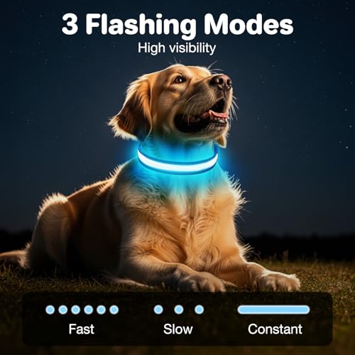 Collier LED pour chien rechargeable bleu taille M réglable doux