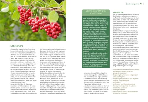 Mit Naturheilkunde Stress bewältigen: Nachhaltige Heilpflanzenkraft bei körperlichen & seelischen Beschwerden