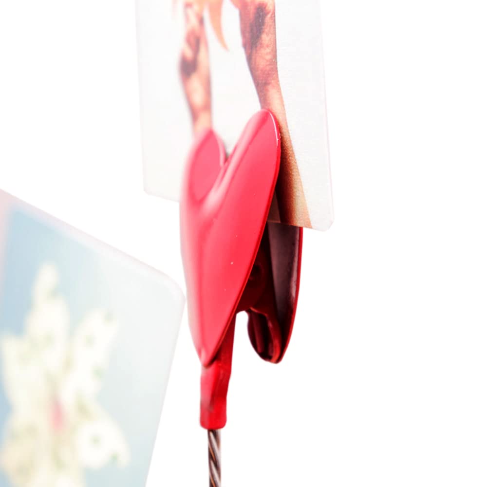 PPT - Les chiens dangereux PowerPoint Presentation, free download -  ID:4923443, image size:1000x1000