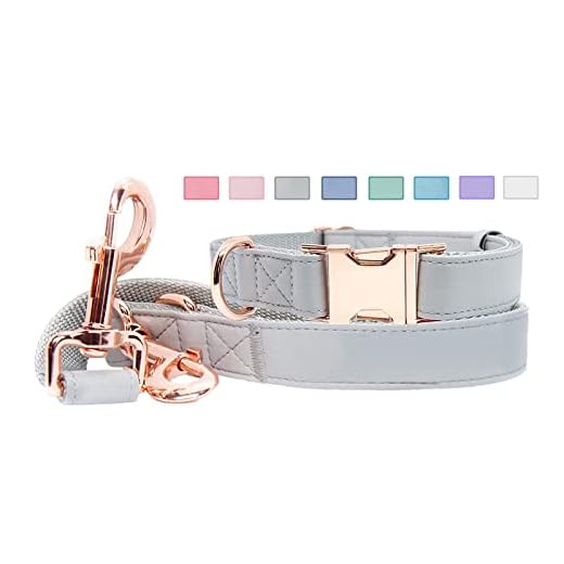 Soft Leather Dog Collar and Leash (6.6') Set - Stylish Rose Gold Heavy Duty Metal Buckle, 4 Adjustable Lengths Leash for Small Medium Large Dogs - Comfortable & Easy to Clean Grey M(13.8"-19.7")