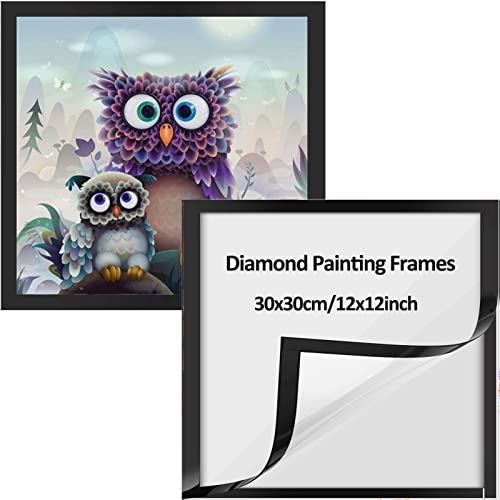 RICUVED 2 Pack Diamond Painting Frames, Frames for Diamond Painting Pictures 30x30cm Canvas Size, Magnetic Frames Self-Adhesive Diamond Art Frames for Wall Window Door (Inner Size 24.5x24.5cm), Black