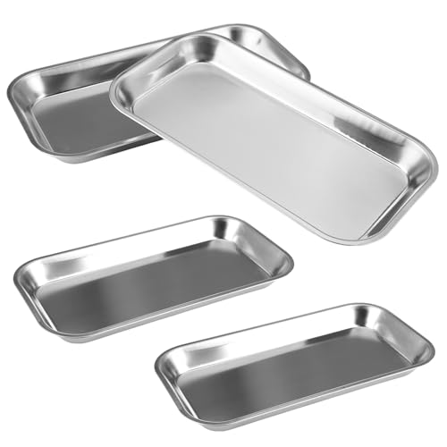 4 Piezas Bandejas para Instrumentos, Bandeja de Instrumentos de Acero Inoxidable, Bandejas de Laboratorio Bandeja Médica Rectangular Pequeña para Dental Platos de Laboratorio (23 x 12 x 2 cm, Plata)