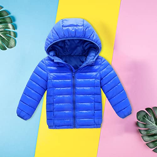 Blue Small and Medium Sized Boys and Girls Warm Cotton Padded Jacket Autumn and Winter Children's Light Down4