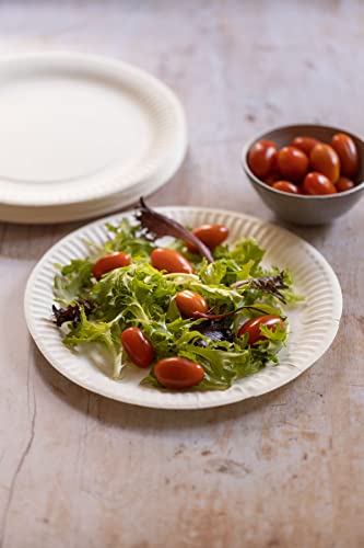 GoCoPack Paper Plates: Pack of 100-9" (23cm) White Paper Plates - Perfect for Parties Or Barbecues (9" (23cm)) - Image 2